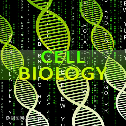 细胞生物螺旋体意味着生物技术研究3d说明