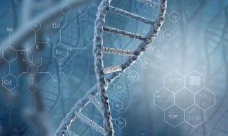 生物化学 生物医学工程 生物统计 同为交叉学科,谁更适合申请